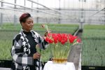 Spierdijk 19 januari 2021
Edsilia Rombley doopt haar eigen tulp de Edsilia
