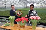 Spierdijk 19 januari 2021
Edsilia Rombley doopt haar eigen tulp de Edsilia