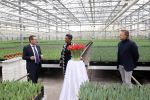 Spierdijk 19 januari 2021
Edsilia Rombley doopt haar eigen tulp de Edsilia