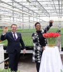Spierdijk 19 januari 2021
Edsilia Rombley doopt haar eigen tulp de Edsilia
