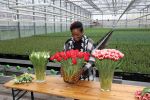 Spierdijk 19 januari 2021
Edsilia Rombley doopt haar eigen tulp de Edsilia