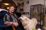 Almere 2 februari 2021
Op bezoek thuis bij Gerrie Tokkie Ruijmgaart. Hun huis staat in Almere . Ze hebben een hond en een pappegaai