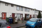 Almere 2 februari 2021
Op bezoek thuis bij Gerrie Tokkie Ruijmgaart. Hun huis staat in Almere . Ze hebben een hond en een pappegaai