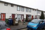 Almere 2 februari 2021
Op bezoek thuis bij Gerrie Tokkie Ruijmgaart. Hun huis staat in Almere . Ze hebben een hond en een pappegaai