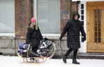 Amsterdam 8 februari 2021
Johnny Heitinga met zijn vrouw Charlotte en hun dochtertje Rixo in de sneeuw.
