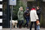 Amsterdam 11 januari 2021
Yvon Jaspers en haar hond met Marc Marie Huijbregts in het vondelpark.