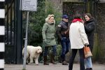 Amsterdam 11 januari 2021
Yvon Jaspers en haar hond met Marc Marie Huijbregts in het vondelpark.