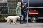 Amsterdam 11 januari 2021
Yvon Jaspers en haar hond met Marc Marie Huijbregts in het vondelpark.