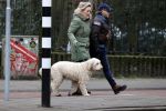 Amsterdam 11 januari 2021
Yvon Jaspers en haar hond met Marc Marie Huijbregts in het vondelpark.