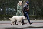 Amsterdam 11 januari 2021
Yvon Jaspers en haar hond met Marc Marie Huijbregts in het vondelpark.