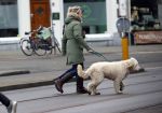 Amsterdam 11 januari 2021
Yvon Jaspers en haar hond met Marc Marie Huijbregts in het vondelpark.