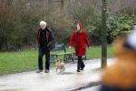 Amsterdam 5 februari 2021
Theodor Holman met partner en hond in het vondelpark