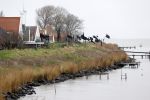 Uitdam 7 januari 2021
Katja Schuurman en de andere bewoners van Uitdam protesteren met zwarte vlaggen tegen de plannen om de dijken te verzwaren.