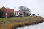 Uitdam 7 januari 2021
Katja Schuurman en de andere bewoners van Uitdam protesteren met zwarte vlaggen tegen de plannen om de dijken te verzwaren.