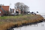 Uitdam 7 januari 2021
Katja Schuurman en de andere bewoners van Uitdam protesteren met zwarte vlaggen tegen de plannen om de dijken te verzwaren.
