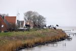 Uitdam 7 januari 2021
Katja Schuurman en de andere bewoners van Uitdam protesteren met zwarte vlaggen tegen de plannen om de dijken te verzwaren.