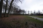 De Steeg 12 januari 2021
Landgoed Middachten in de Steeg. Ursul de Geer is hier voor een gedeelte eigenaar van
