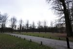 De Steeg 12 januari 2021
Landgoed Middachten in de Steeg. Ursul de Geer is hier voor een gedeelte eigenaar van