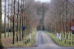 De Steeg 12 januari 2021
Landgoed Middachten in de Steeg. Ursul de Geer is hier voor een gedeelte eigenaar van