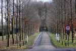 De Steeg 12 januari 2021
Landgoed Middachten in de Steeg. Ursul de Geer is hier voor een gedeelte eigenaar van