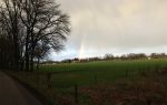 Rhenen 12 januari 2021
Ursul de Geer heeft in Rhenen ook een stuk grond