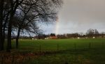 Rhenen 12 januari 2021
Ursul de Geer heeft in Rhenen ook een stuk grond