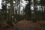 Rhenen 12 januari 2021
Ursul de Geer heeft in Rhenen ook een stuk grond
