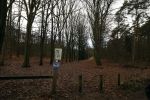Rhenen 12 januari 2021
Ursul de Geer heeft in Rhenen ook een stuk grond