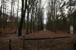 Rhenen 12 januari 2021
Ursul de Geer heeft in Rhenen ook een stuk grond