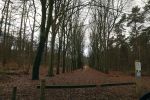 Rhenen 12 januari 2021
Ursul de Geer heeft in Rhenen ook een stuk grond