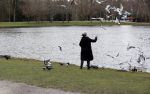 Amsterdam 21 januari 2021
Een dame geeft de vogels te eten in het vondelpark