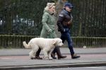 Amsterdam 11 januari 2021
Yvon Jaspers en haar hond met Marc Marie Huijbregts in het vondelpark.
