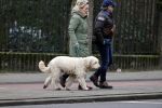 Amsterdam 11 januari 2021
Yvon Jaspers en haar hond met Marc Marie Huijbregts in het vondelpark.