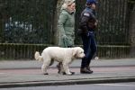 Amsterdam 11 januari 2021
Yvon Jaspers en haar hond met Marc Marie Huijbregts in het vondelpark.