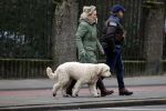 Amsterdam 11 januari 2021
Yvon Jaspers en haar hond met Marc Marie Huijbregts in het vondelpark.