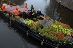 Amsterdam 15 januari 2021
Andre v Duin doopt zijn tulp in de westertoren en gaat daarna op een grote boot tulpen uitdelen op de grachten van Amsterdam.