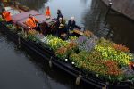 Amsterdam 15 januari 2021
Andre v Duin doopt zijn tulp in de westertoren en gaat daarna op een grote boot tulpen uitdelen op de grachten van Amsterdam.