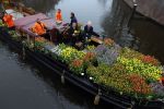 Amsterdam 15 januari 2021
Andre v Duin doopt zijn tulp in de westertoren en gaat daarna op een grote boot tulpen uitdelen op de grachten van Amsterdam.