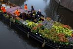 Amsterdam 15 januari 2021
Andre v Duin doopt zijn tulp in de westertoren en gaat daarna op een grote boot tulpen uitdelen op de grachten van Amsterdam.