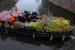 Amsterdam 15 januari 2021
Andre v Duin doopt zijn tulp in de westertoren en gaat daarna op een grote boot tulpen uitdelen op de grachten van Amsterdam.