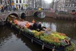 Amsterdam 15 januari 2021
Andre v Duin doopt zijn tulp in de westertoren en gaat daarna op een grote boot tulpen uitdelen op de grachten van Amsterdam.