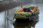 Amsterdam 15 januari 2021
Andre v Duin doopt zijn tulp in de westertoren en gaat daarna op een grote boot tulpen uitdelen op de grachten van Amsterdam.