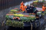 Amsterdam 15 januari 2021
Andre v Duin doopt zijn tulp in de westertoren en gaat daarna op een grote boot tulpen uitdelen op de grachten van Amsterdam.