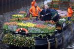 Amsterdam 15 januari 2021
Andre v Duin doopt zijn tulp in de westertoren en gaat daarna op een grote boot tulpen uitdelen op de grachten van Amsterdam.