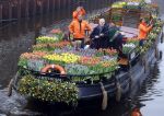 Amsterdam 15 januari 2021
Andre v Duin doopt zijn tulp in de westertoren en gaat daarna op een grote boot tulpen uitdelen op de grachten van Amsterdam.