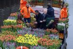 Amsterdam 15 januari 2021
Andre v Duin doopt zijn tulp in de westertoren en gaat daarna op een grote boot tulpen uitdelen op de grachten van Amsterdam.