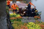 Amsterdam 15 januari 2021
Andre v Duin doopt zijn tulp in de westertoren en gaat daarna op een grote boot tulpen uitdelen op de grachten van Amsterdam.