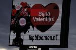 Den Haag Muiden 8 februari 2022
Abri aan A1 A12  Abri  bloemen Valentijnsdag