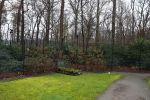 Lage Vuursche 31 januari 2022
Het graf van Prins Friso naast kasteel Drackensteyn