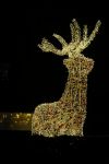Vinkeveen 4 januari 2022
Kerstverlichting bij het huis van Tino Martin
